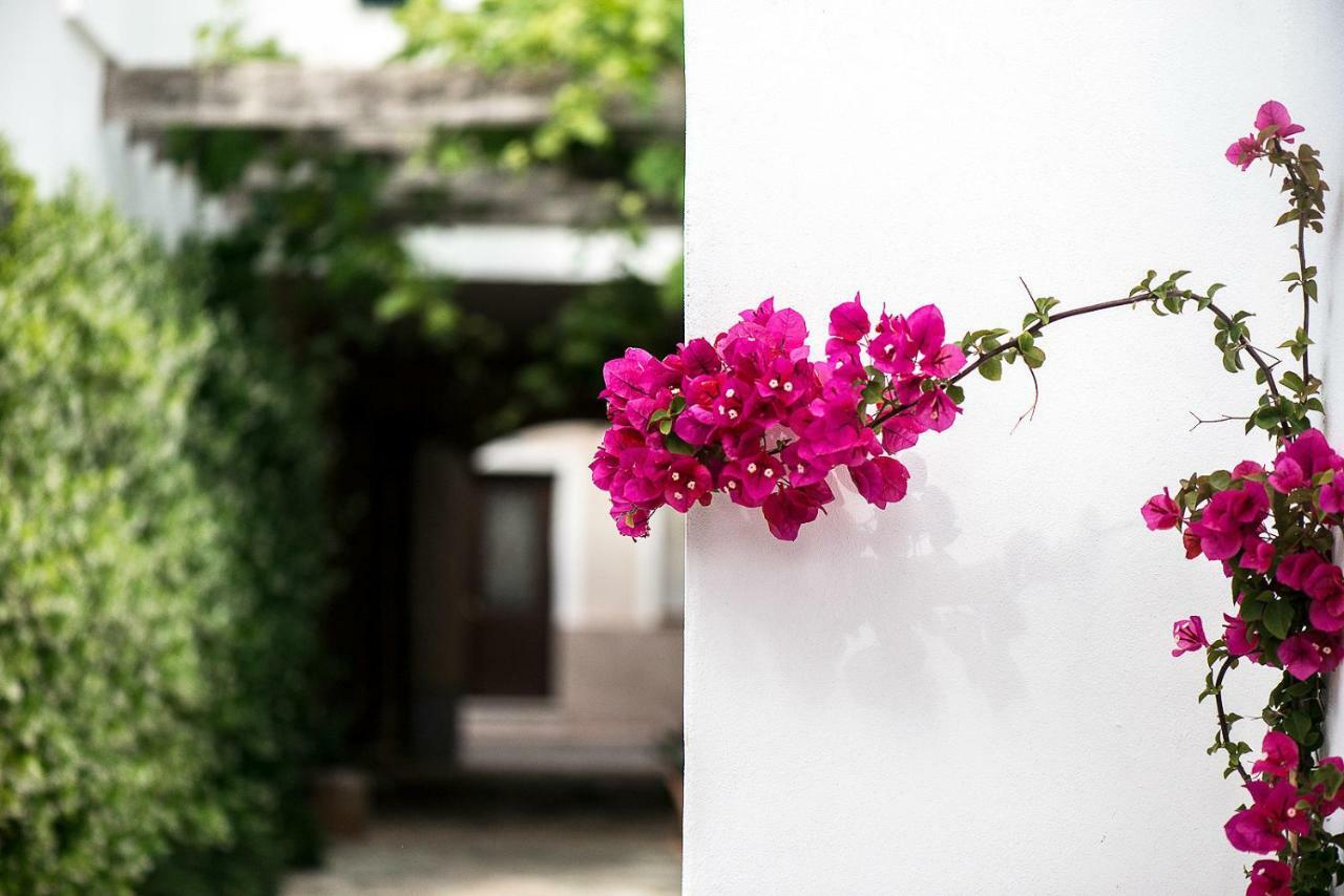 Coliving Add Livitum Ciutadella (Menorca) Exterior foto
